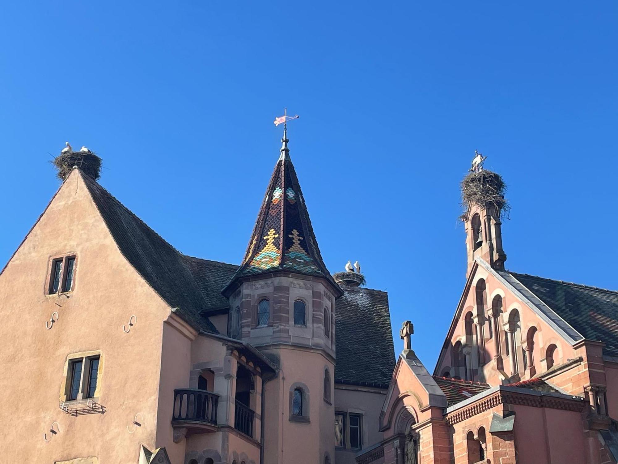 Appartement Le Ch'Ti Alsacien Эгишем Экстерьер фото
